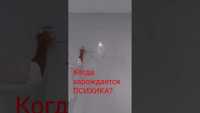 Когда рождается психика человека? В момент рождения? В момент зачатия? А может, РАНЬШЕ?