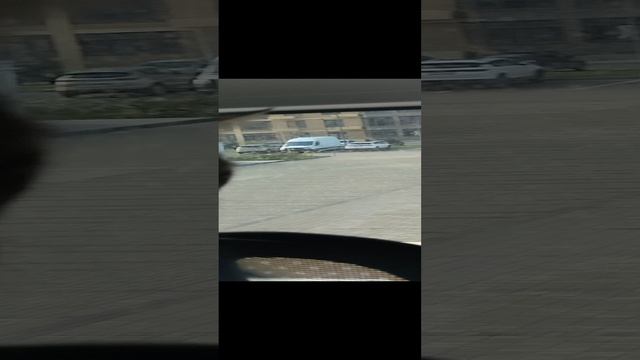 Боня и домик!