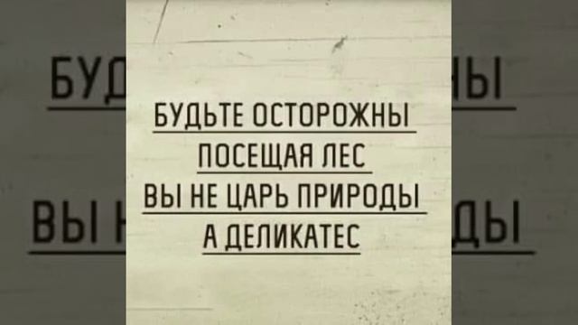 VID-20241009-WA0006.mp4