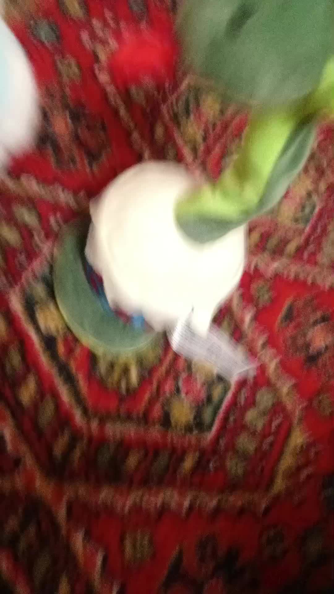 хаахахах
