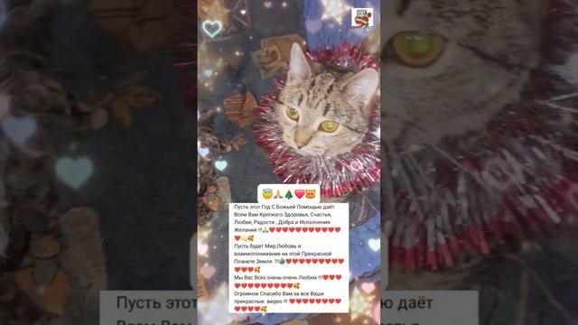 Ребята поблагодарили Tatjana Kronhardt за такой трогательный комментарий 🙏❤️ и пожелали Всем своим