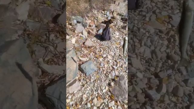 Рыбалка 🎣 идёт