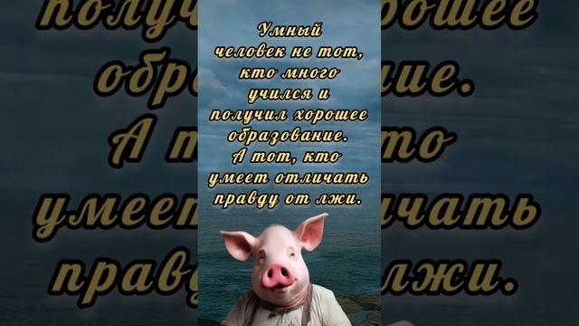 Три цитаты о современности. Вячеслав Деревенский