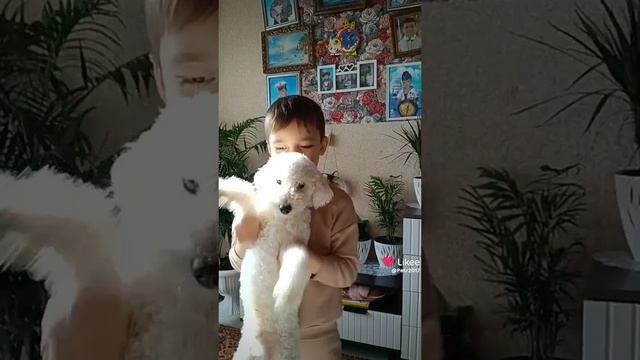 1000008941.mp4