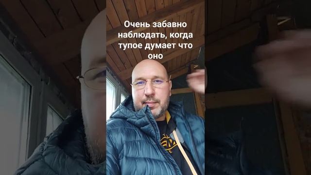 Забавные наблюдения