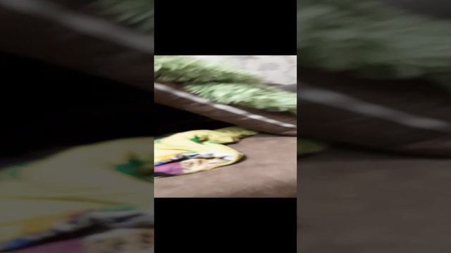 20250104_205316.mp4