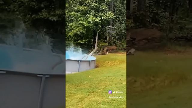 1000007125.mp4