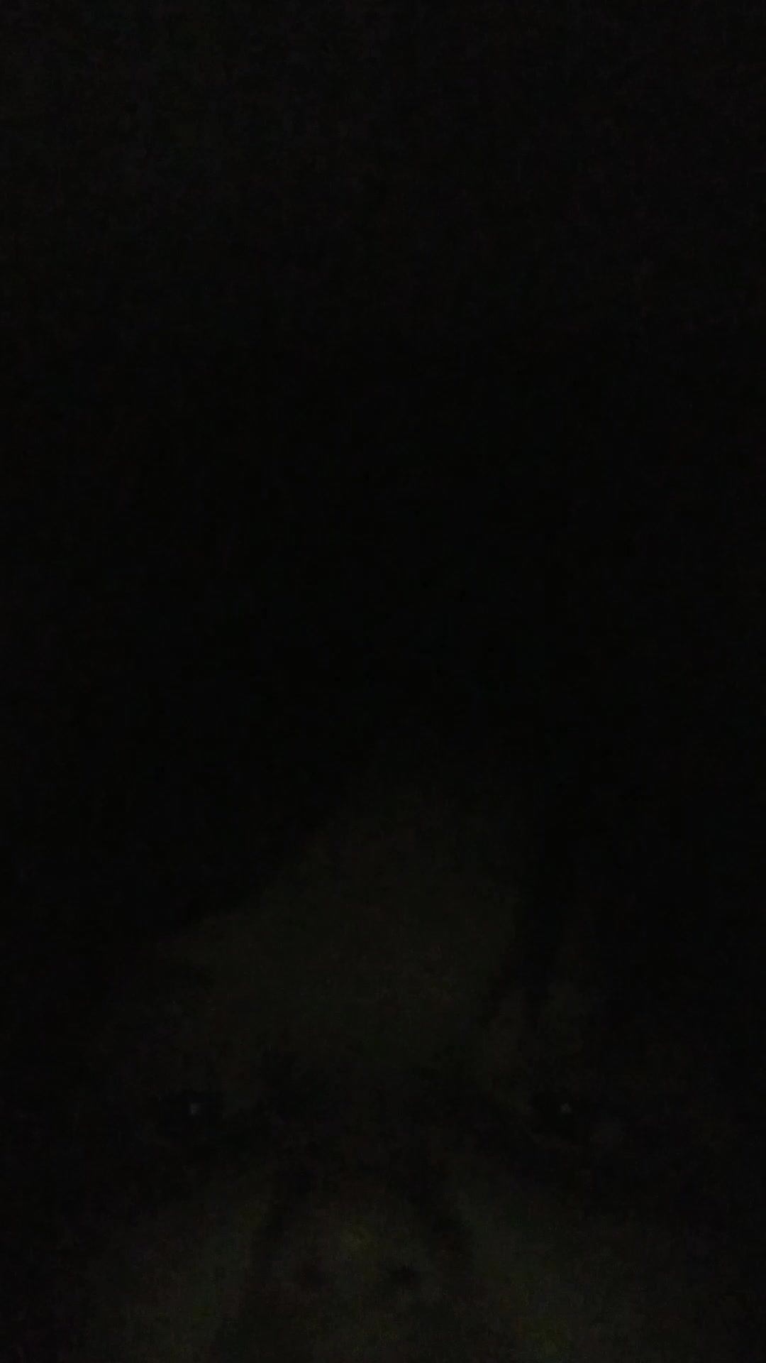 ffff