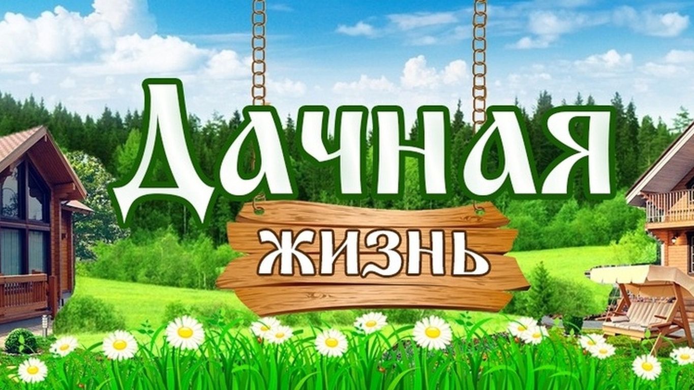 снег оседает в моём саду 3.01.2025 году