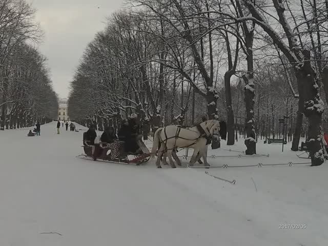 Павловск