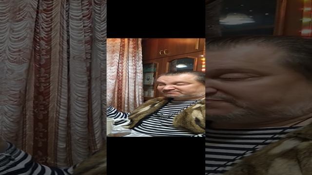 Единорог. Андрей Щербак- Жуков. 1000018248.mp4