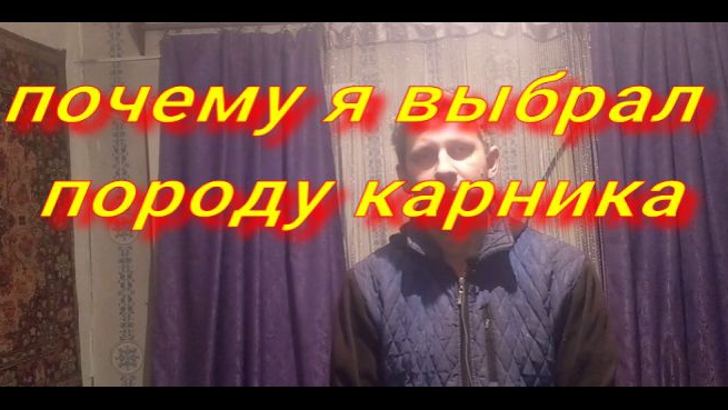 ответ на коментарий почему я выбрал породу карника ?