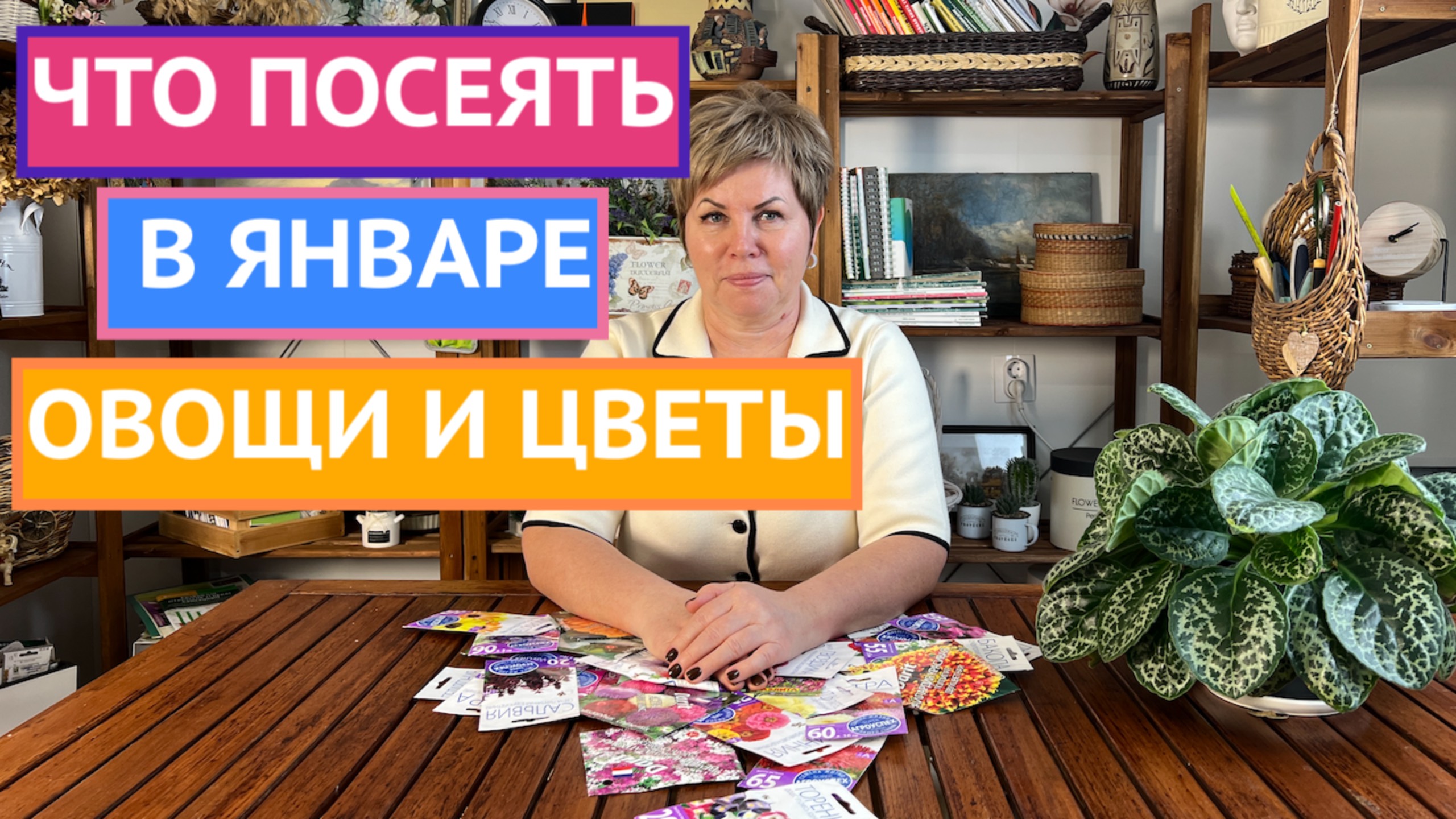 УСПЕЙТЕ ПОСЕЯТЬ ЭТИ ОВОЩИ И ЦВЕТЫ В ЯНВАРЕ!