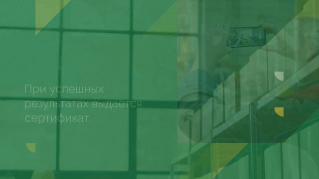 Сертификация игрушек — безопасность детей превыше всего — sertex.org