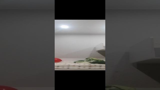 VID_20250104_212019.mp4
