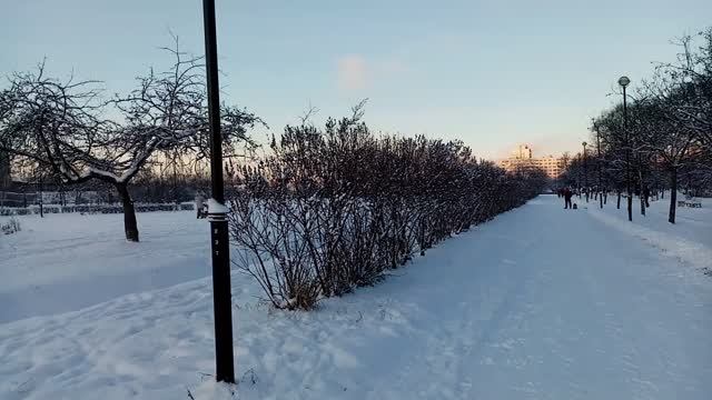 Санкт-Петербург яблоневый сад 2025