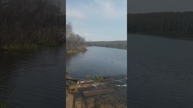 Течет ручей, бежит ручей !