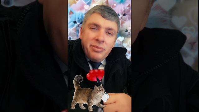 Кошка, камень снимает с души 🐈  БЕРЕГИТЕ ЖИВОТНЫХ! 🍀 Комиссаров Эдуард Михайлович 🍀 #кошки