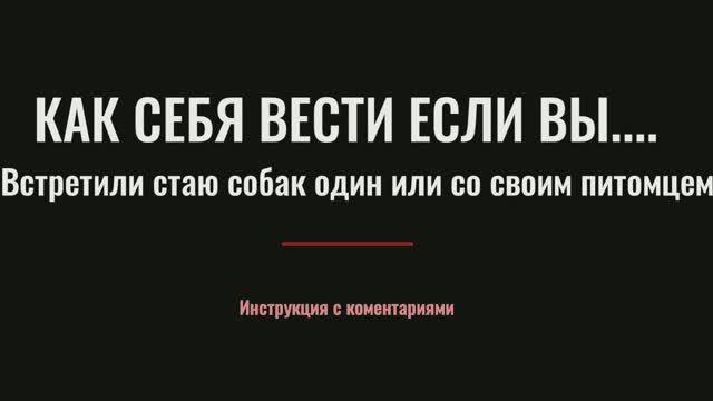 Стая собак +79296105898 Коррекция поведения собак