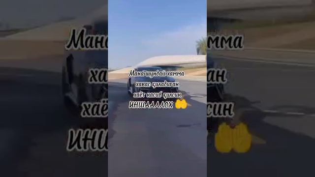 VID-20241231-WA0033.mp4