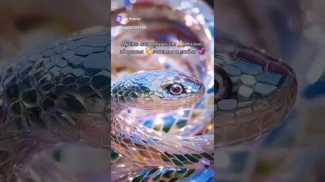 🐍