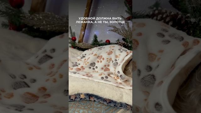 И МЫ В ЭТОМ УВЕРЕННЫ😻