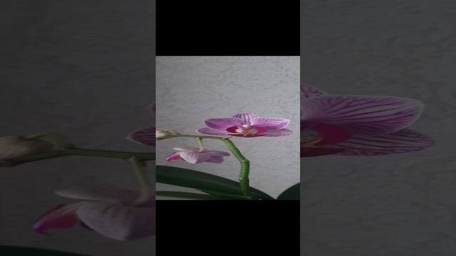 20250104_140730