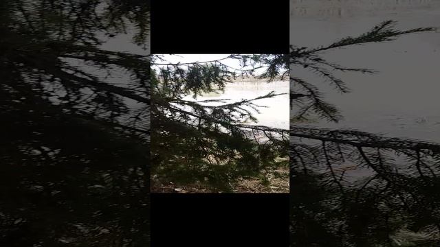 1000000182.mp4