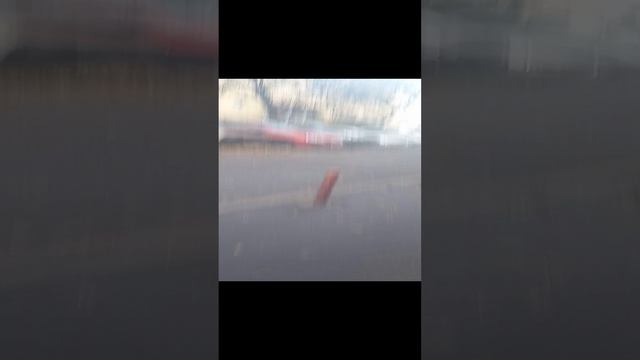1000002750.mp4