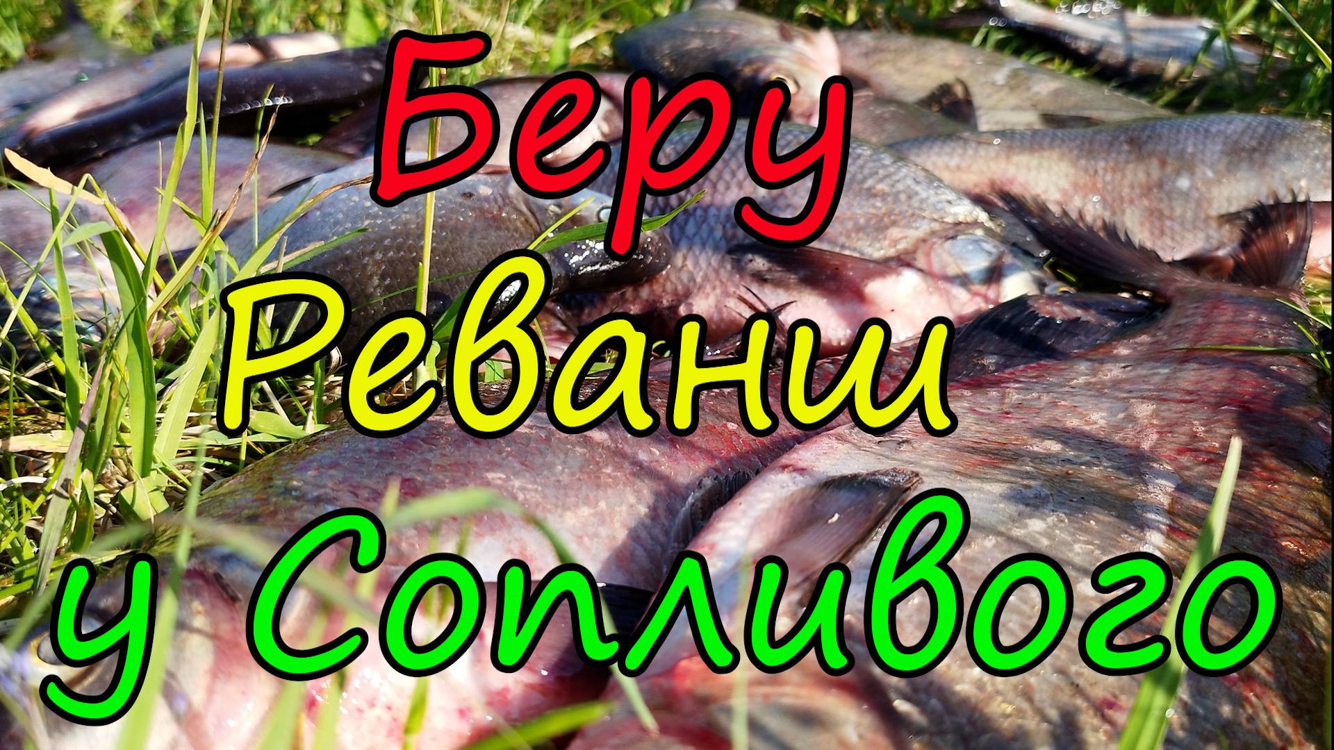 Лещ на ночной фидер. Реванш с Сопливым состоялся😁.Лещ Есть-он не может не есть.