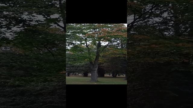 осенний разговор