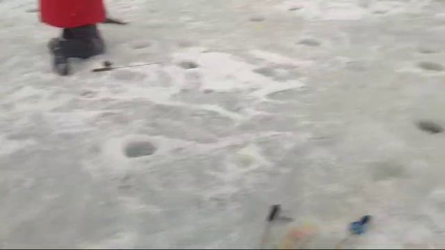 WhatsApp Video 2025-01-04 at 10.02.56