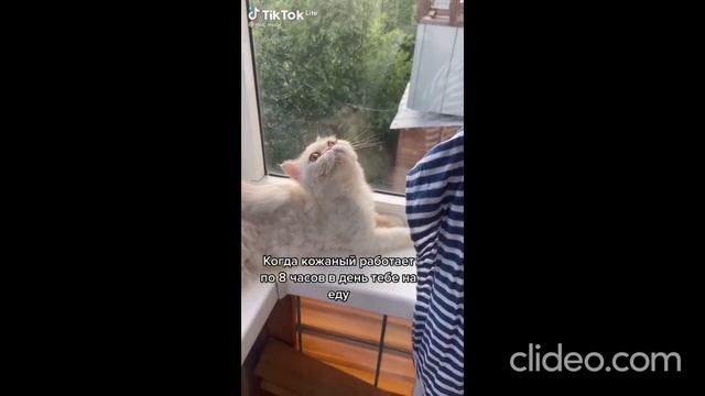 Счастье