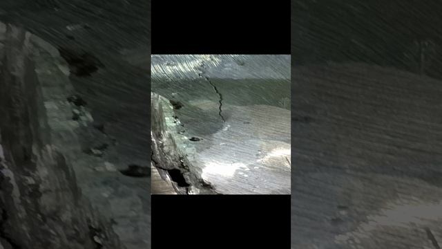 1000001653.mp4