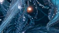 Любовные истории из жизни - Пламя чувств и романтики....