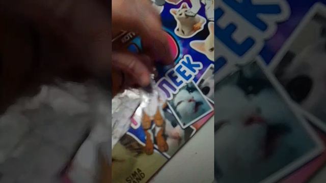 обзор всех собак 1 часть