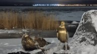 Новогодняя прогулка в Кронштадте
