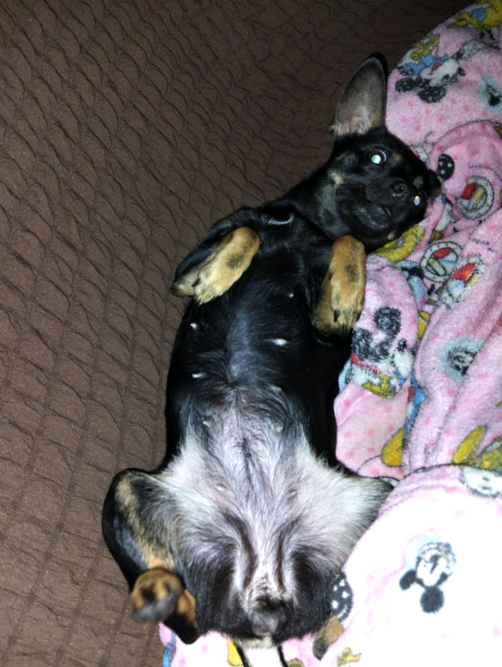 фортепиано