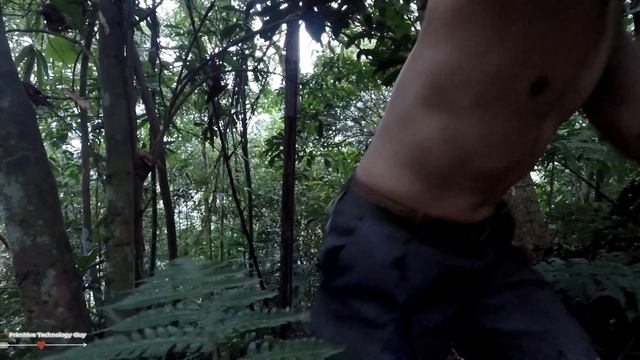 001. Primitive Technology- Foraging For Food