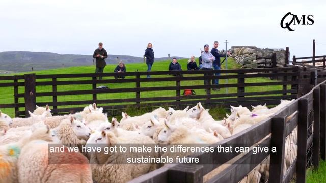 Meat With Integrity Behind the Scenes: Joyce Campbell