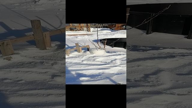 VID_20240124_122518.mp4