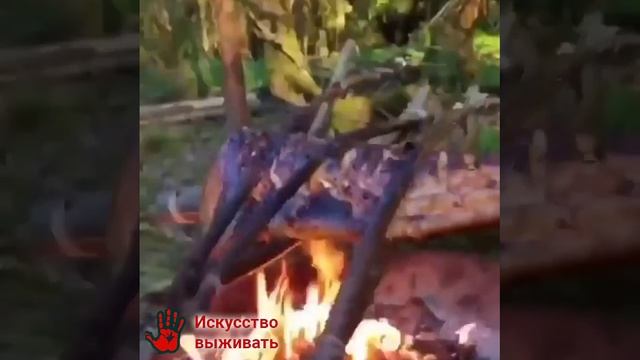 Своеобразное барбекю своими руками