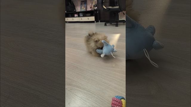 Лилу