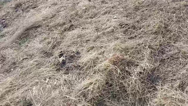1000013969.mp4