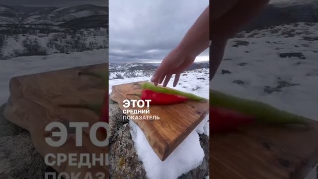 ВРЕМЯ!!!