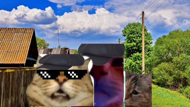 Месть котов 1 сезон 3 серия