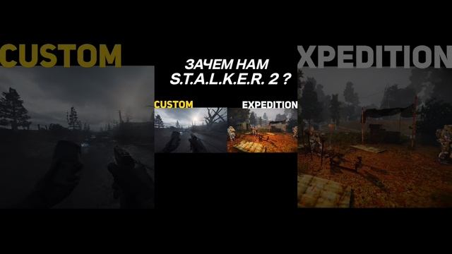 Anomaly expedition vs custom #stalkergame #stalker #filine #stalkermod