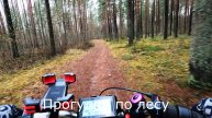 Прогулки по лесу. На велосипеде от озера до выхода из леса.