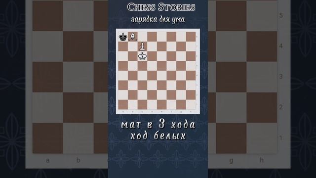 Задача для ума #chess #stories #задачи #шахматы #shorts