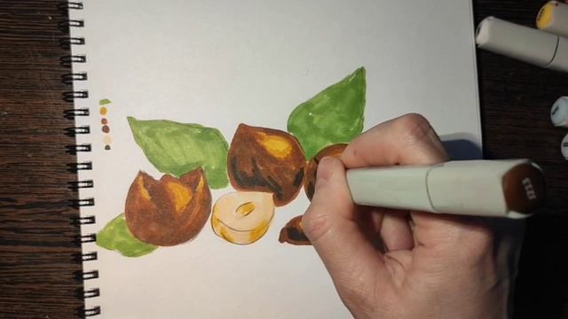 Как нарисовать орехи 2 урок № 20
